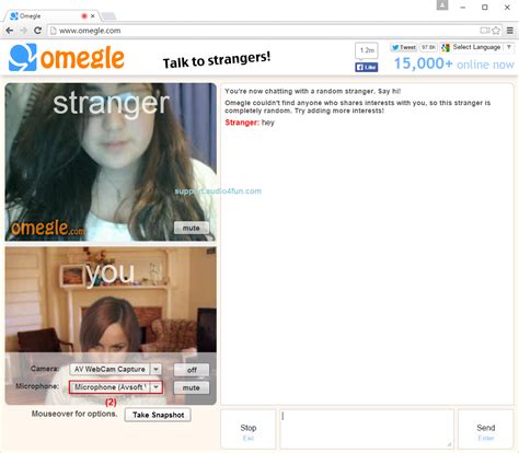 omeglee|Omegle